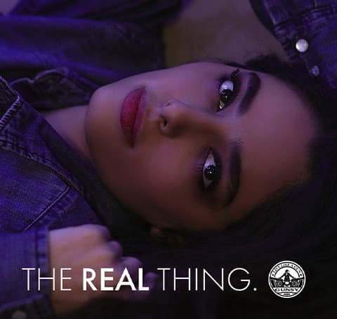 Gunsy — The real thing. Live like a gun